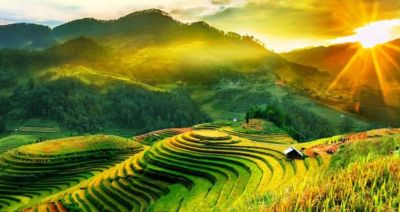 Tour Sapa - Fansipan - Ô Quy Hô - Cát Cát - Hàm Rồng 3 Ngày 2 Đêm